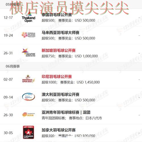 World Cup 2026期间热门世界杯买球网站揭秘与稳定性评测分析